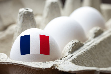 Egg with French flag in egg cartonの写真素材
