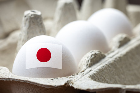 Egg with Japanese flag in egg cartonの写真素材