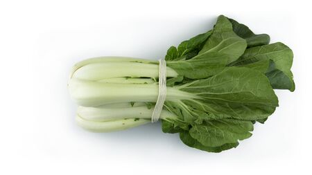 Bok Choy Asian Vegetableの写真素材