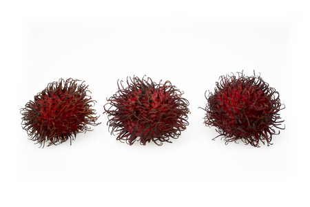 Rambutan on white backgroundの写真素材