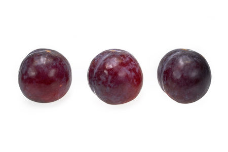 Plum delicious fruit on white backgroundの写真素材