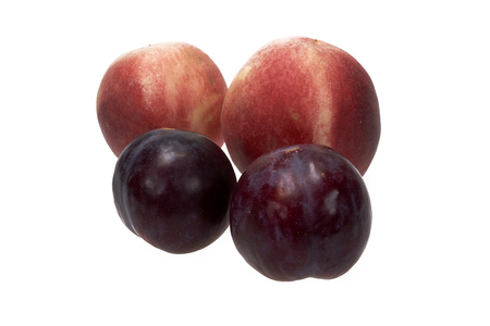 Peach and plum fruit isolated on white backgroundの写真素材
