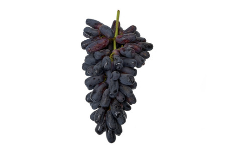 Sweet sapphire grapes on white backgroundの写真素材