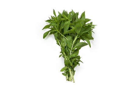 Vietnamese mint on white backgroundの写真素材