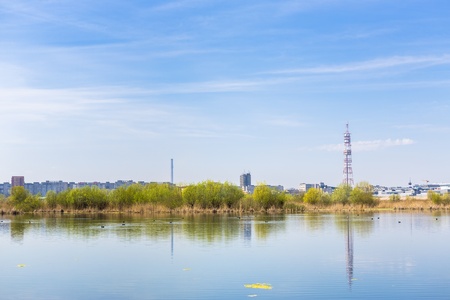 Daytime view of aquatic ecosystem on old Vacaresti Lake near south-eastern Bucharest suburbs の写真素材