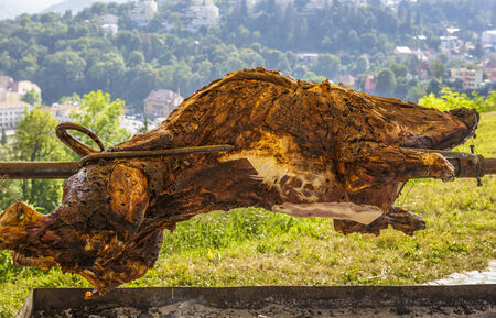 Wild boar carcass roasting on a rotating spit.の写真素材