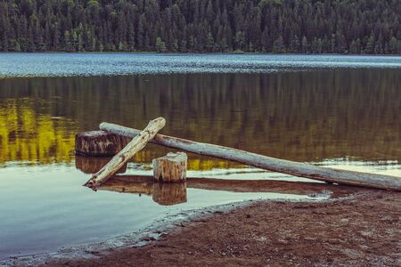 Tranquil evening scenery with peeled, lifeless trees fallen, sunken in the pellucid water of a lake. Toned colors.の写真素材
