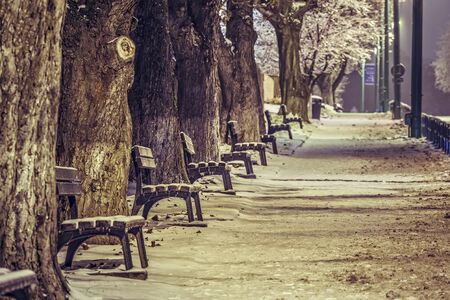 Gloomy winter urban view with deserted sidewalk and row of benches covered by snow, late in the evening in Brasov, Romania. Shallow depth of field.の写真素材