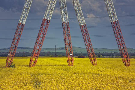 Detail of high-voltage electric power pole iron pylons in a blooming rapeseed field.