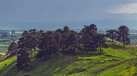 Sunlight over a clump of conifer trees on top of the Lempes Hill, near Sanpetru city, Romania and heavy pouring rain showers, cloudburst in the mountains at the horizon.の写真素材