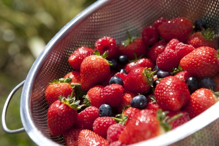 Summer fruits and berriesの写真素材