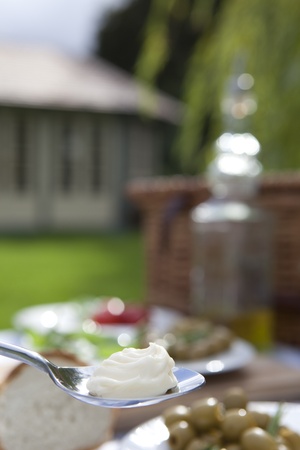 Mayonaise on a spoon in a country gardenの写真素材