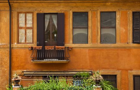 Yellow Ochre Houseのeditorial素材