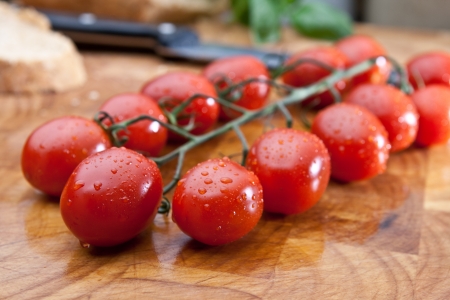 Freshly washed vine tomatoesの写真素材