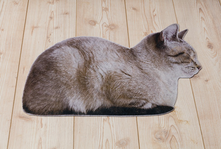 Cat matの写真素材