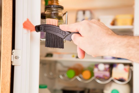Micr brush cleaning fridgeの写真素材