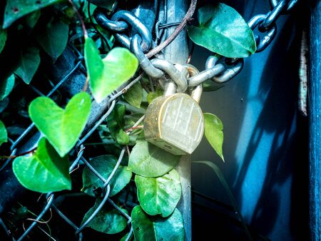 Lock with chainの写真素材