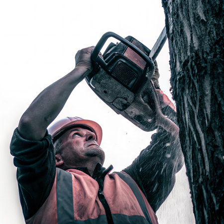 woodcutter realisticの素材