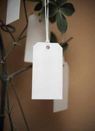 White blank tags hang delicately from a tree branchの素材