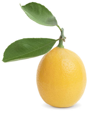 fresh lemon with leaves isolated on white backgroundの写真素材