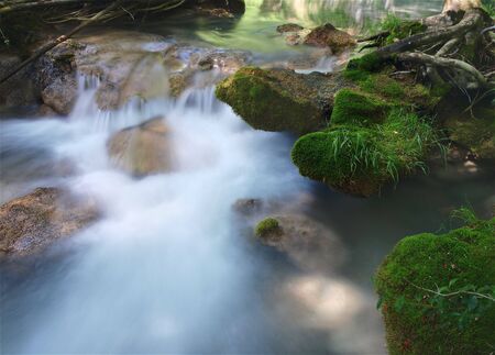 Moss on the Waterの写真素材