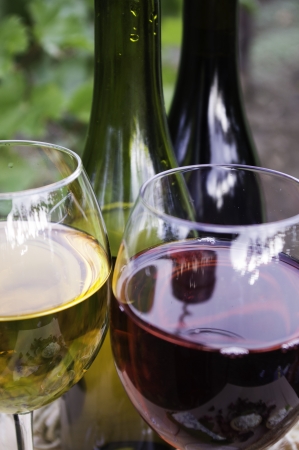 Red wine and white wineの写真素材