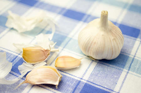 Head and the garlic cloves on a checkered tableclothの写真素材