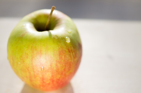 Apple on the screen in the sunの写真素材