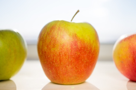 Apples on the screen in the sunの写真素材