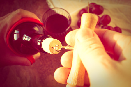 Man opens a bottle of wine corkscrew oldの写真素材