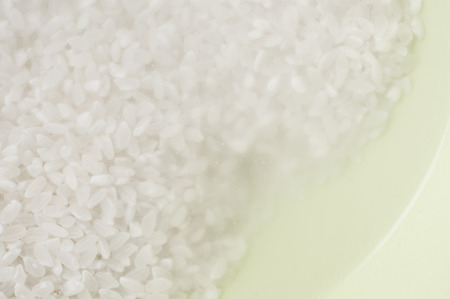 Washing with clean water in the rice bowl of greenの写真素材