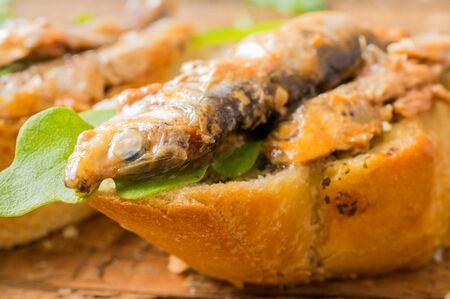Tapas, pintxos, pinchos spanish appetizer with arugula and fish (sardines or sprats with tomato sauce)の写真素材