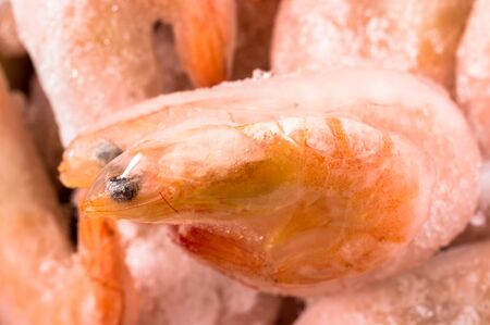 Couple of frozen shrimp solidified in ice closeupの写真素材