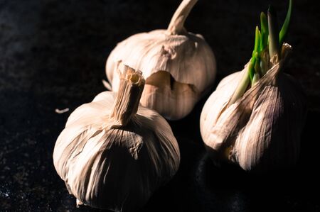 Three garlic heads in the sun. Hard shadows on a black backgroundの写真素材