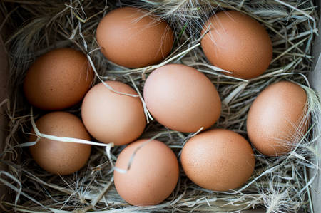 Chicken eggs in the nest box or with a straw. Rustic. Top viewの写真素材