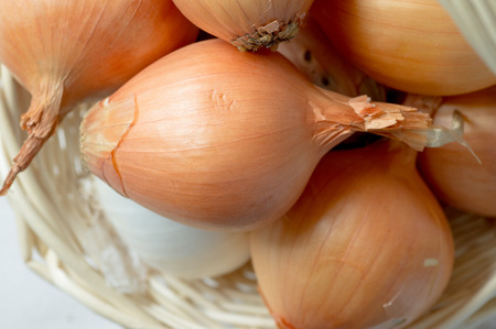 Onion bulbs close-up top viewの写真素材