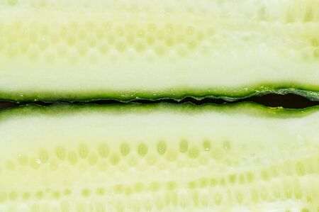 Background of the cut cucumber close up top viewの写真素材