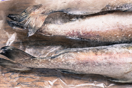 Tails frozen fish pollock top viewの写真素材
