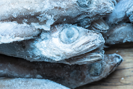 Frosted bunch tilapia fish headの写真素材