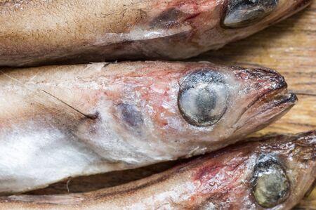 Frozen fish head closeup top viewの写真素材