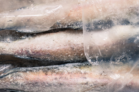 Carcasses frozen fish pollock in the plastic packagingの写真素材
