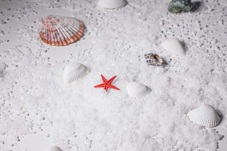 At the bottom of the sea salt broken starfish and seashellsの写真素材