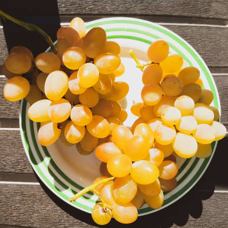 Bunches of grapes in the sunlight on a plate top view
