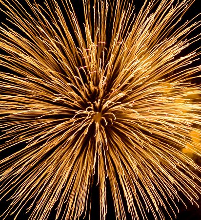 Beautiful fireworks exploding over a dark night sky.