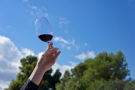 Hand raising a glass of wine to toastの写真素材