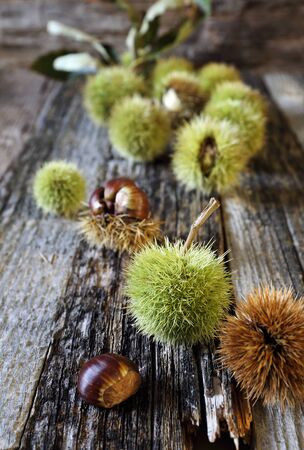 Close up of sweet chestnutsの写真素材