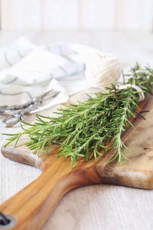 Organic bunch of fresh rosemary on cutting boardの写真素材