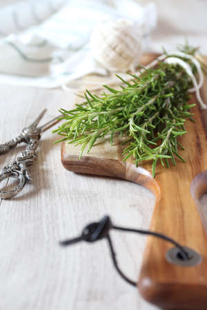 Organic bunch of fresh rosemary の写真素材