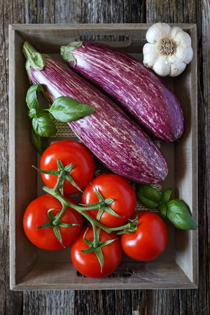 Raw vegetables: graffiti eggplants, garlic, tomatoes and basil  in tray, top viewの写真素材