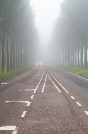 Car with lights on a foggy road in Arnhem, Netherlandsの写真素材